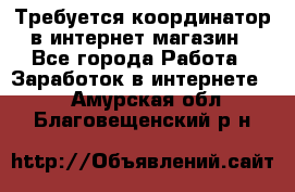 Требуется координатор в интернет-магазин - Все города Работа » Заработок в интернете   . Амурская обл.,Благовещенский р-н